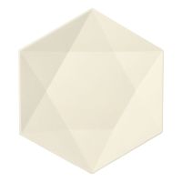 Assiettes canne à sucre "pure" hexagonal 2,5 cm x 26 cm x 23 cm blanc "Diamond"
