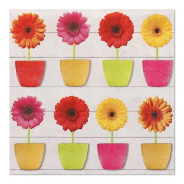 Serviettes, 3 plis pliage 1/4 33 cm x 33 cm "Glowing Gerberas"