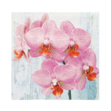 Serviettes, 3 plis pliage 1/4 33 cm x 33 cm "Phalaenopsis"